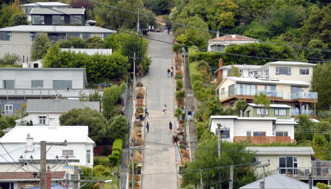 Sleep On The Steepest Street In The World! Bed & Breakfast Dunedin Exterior photo
