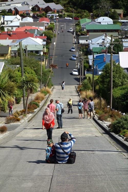 Sleep On The Steepest Street In The World! Bed & Breakfast Dunedin Exterior photo